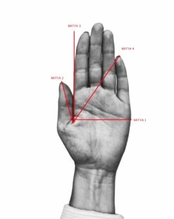Mutka Naisten Nahkakäsine Punaisilla Yksityiskohdilla 8 Mutka Naisten Nahkakäsine Punaisilla Yksityiskohdilla -Laukkuni kasi mittaus f7979cb9 5784 4b07 b85a e148e4ecc999
